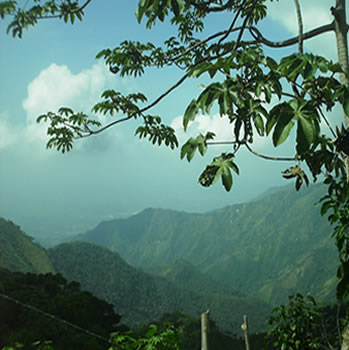 name